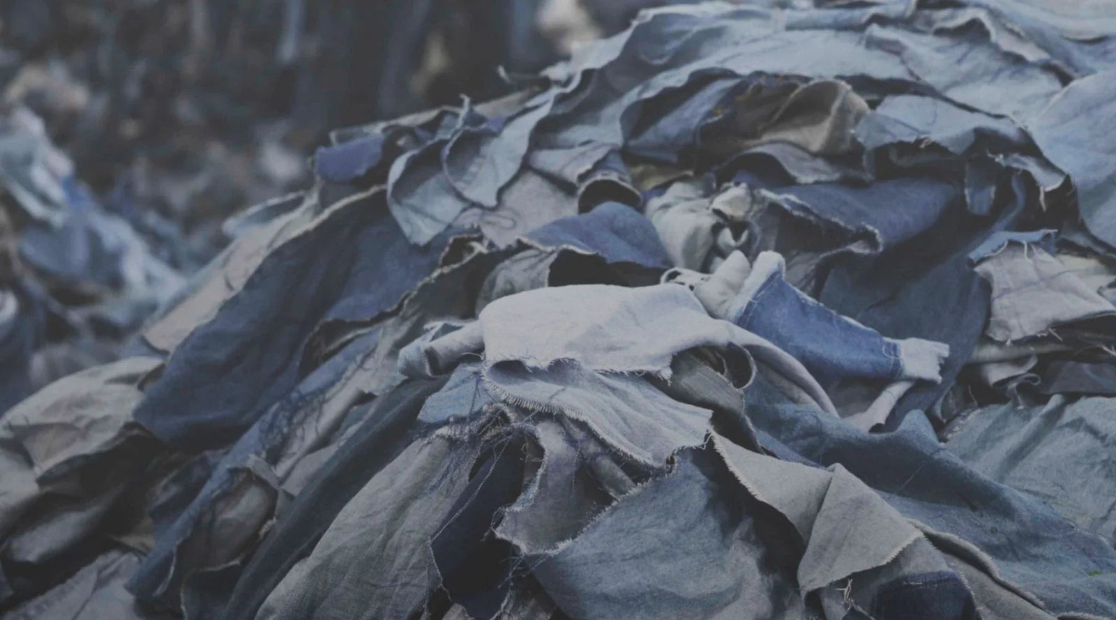 Broken In denim sorting