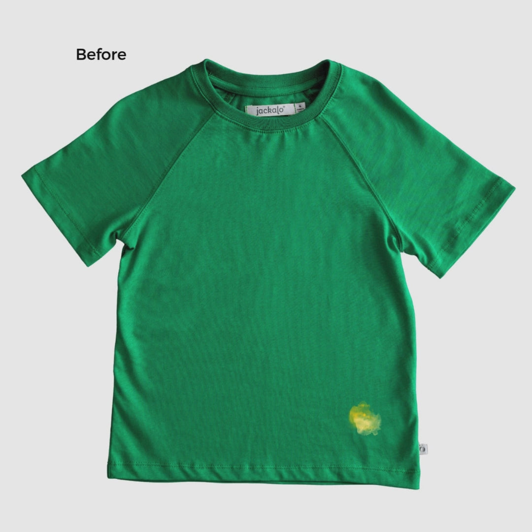 Festive Flair Iron-On Designs